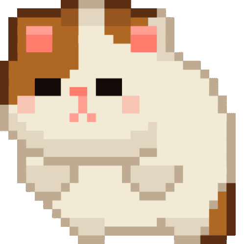 Random Image